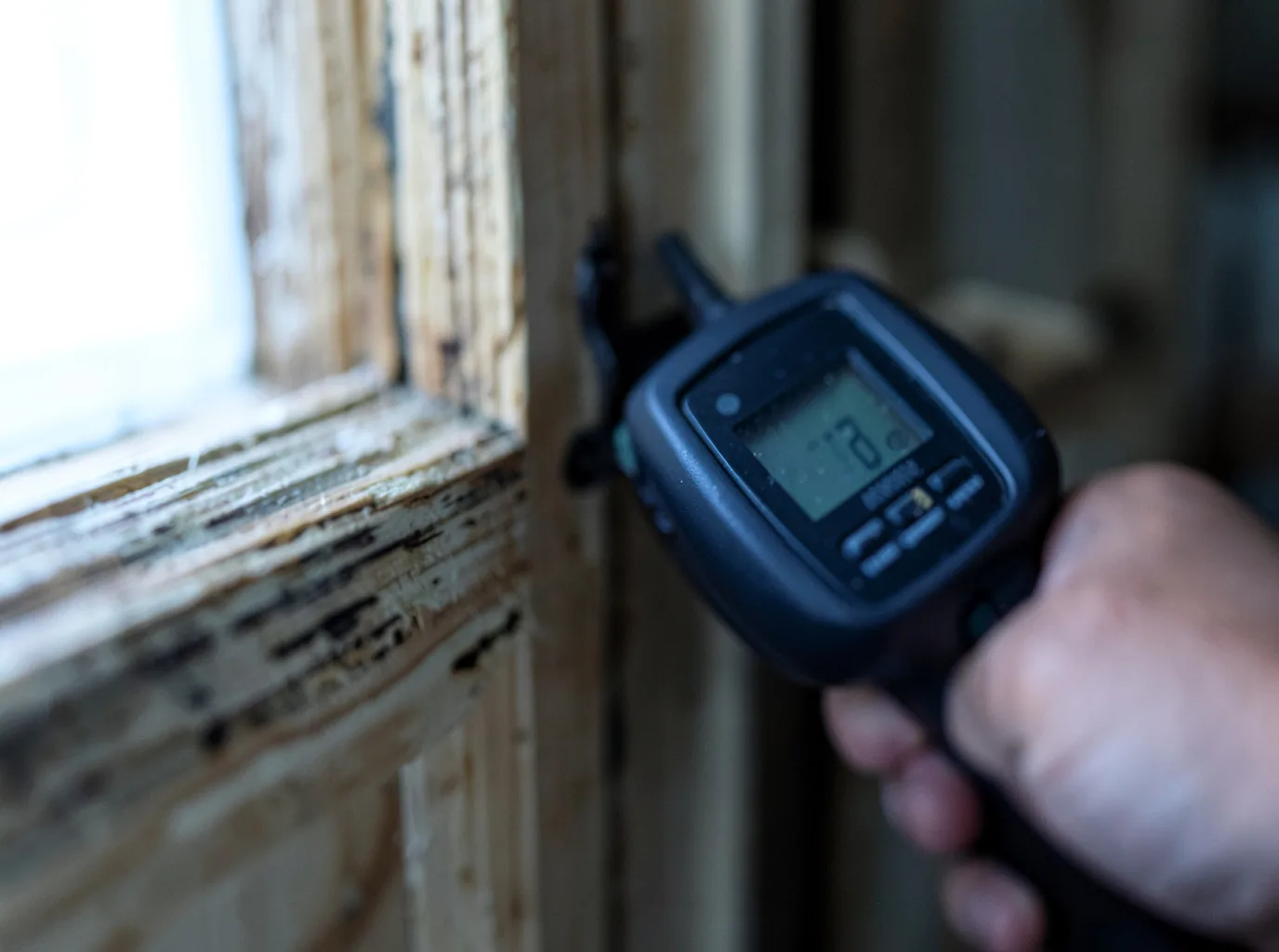 Water Damage Restoration Michigan FAQs
